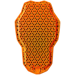 Richa D30 CE Ghost - Level 1 Back Insert